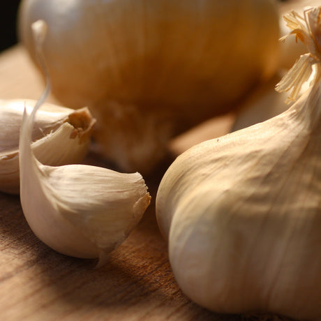 A bulb of the Artisan Smokehouse's smoked garlic